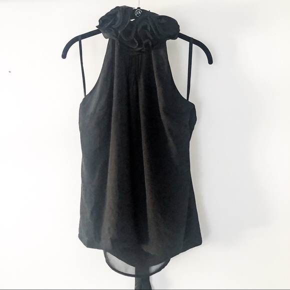 EUC Ann Taylor Ruffled Silk Sleeveless Tunic Top M - Picture 1 of 5